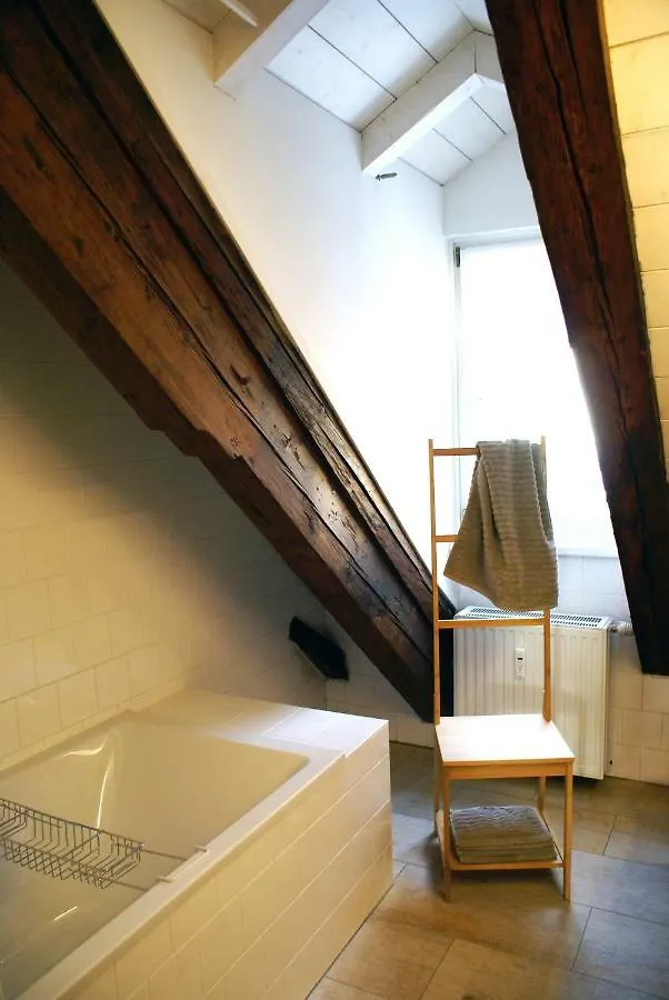 Apartment Sissi ザルツブルク 0*,  オーストリア